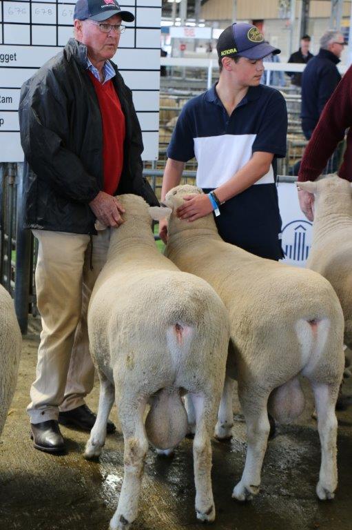 2018 NZ Agricultural Show