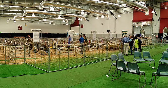 The Other Half of the Sheep Show Facility at Waikato Show 2016