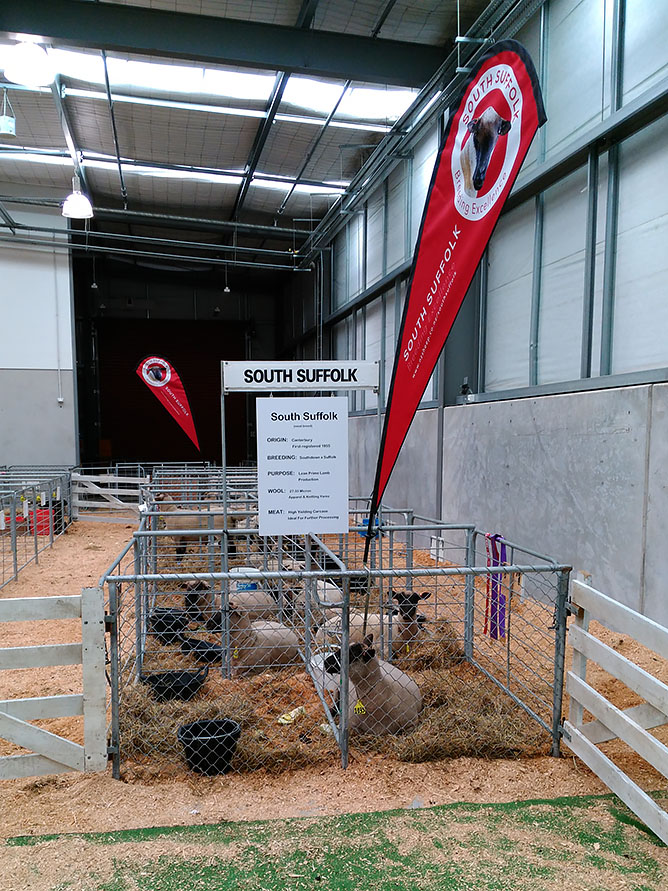 The South Suffolk area at the Waikato Show 2016