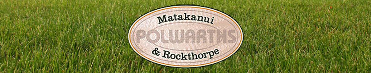Matakanui & Rockthorpe Polwarths