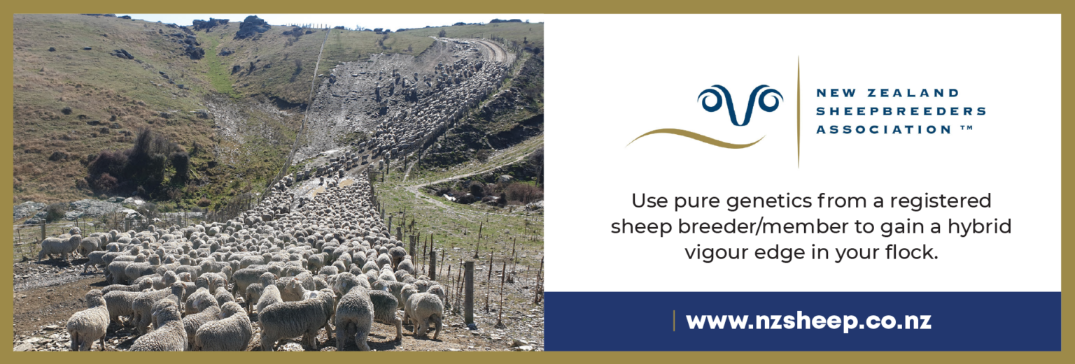 New Zealand Sheepbreeders' Association